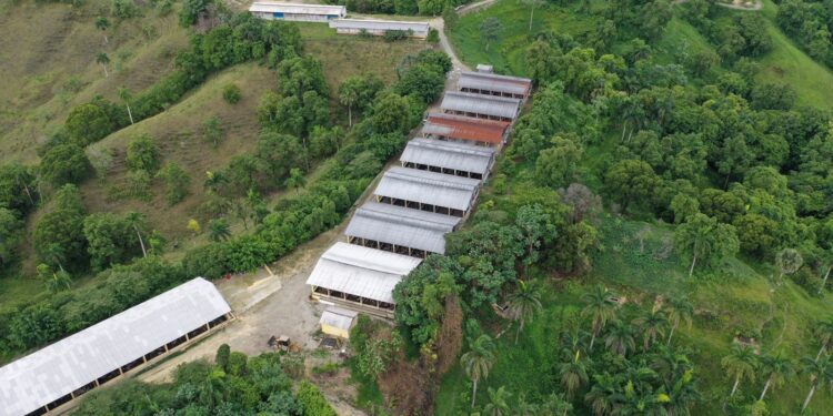 Medio Ambiente impone multa de cinco millones a granja porcina