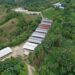Medio Ambiente impone multa de cinco millones a granja porcina