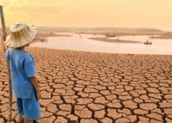 Más de 5,000 millones de personas tendrán problemas de acceso al agua en 2050