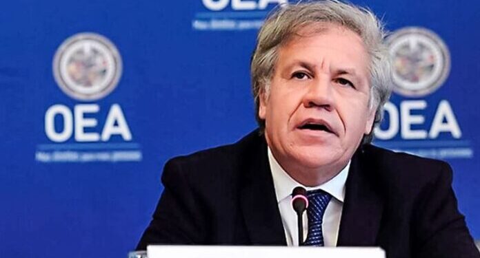 Estados Unidos a favor de que una empresa externa investigue al jefe de la OEA