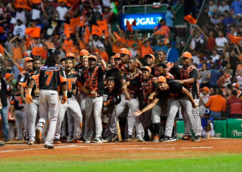 Toros del Este vencieron 6-2 a los  Leones del Escogido