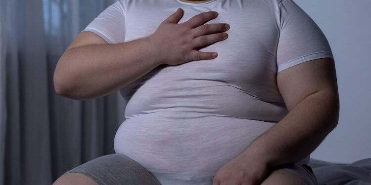 Investigadores descubren mecanismo induce a obesidad