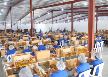 Zonas francas alcanzan los USD 522 millones en enero