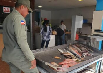 Decomisan pez loro en diferentes provincias