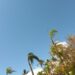 Onamet prevé temperaturas frescas y escasas lluvias