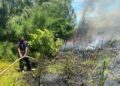 Incendio registrado en Lagunas de Cabarete y Goleta está controlado, informó Medio Ambiente 