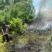 Incendio registrado en Lagunas de Cabarete y Goleta está controlado, informó Medio Ambiente