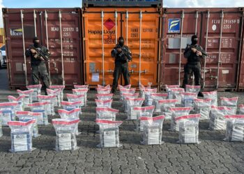 Frustran envío de 278 paquetes presumiblemente cocaína a Francia