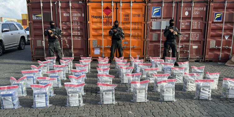 Frustran envío de 278 paquetes presumiblemente cocaína a Francia
