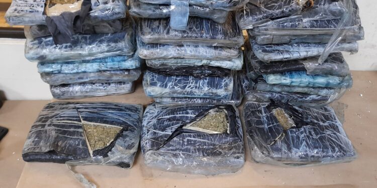 Ocupan fusiles, escopetas y 50 paquetes de drogas en operativos