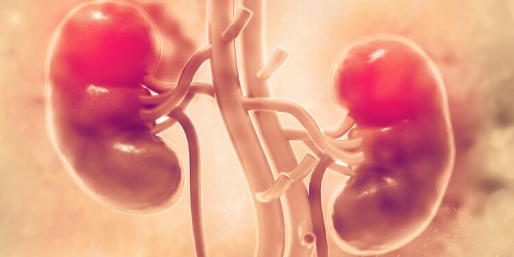 Más de 3,000 muertes al año a causa del Cáncer Renal