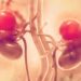 Más de 3,000 muertes al año a causa del Cáncer Renal