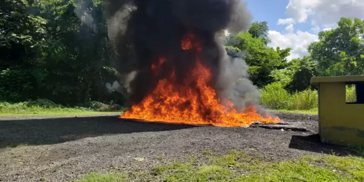 Procuraduría incinera más de 13 toneladas de drogas en primer semestre del 2023