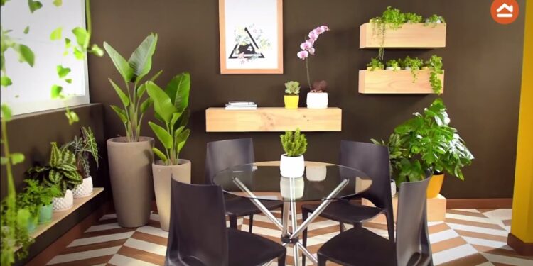 Las flores y plantas reducen un 20% la contaminación en hogares, escuelas y hospitales