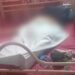 Asesinan 4 personas en Partido, Dajabón