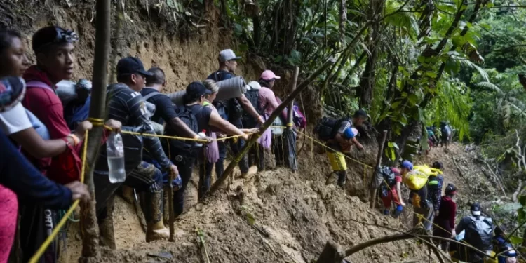 Panamá: Se rebasa el umbral de 400,000 migrantes que cruzaron la selva del Darién este año
