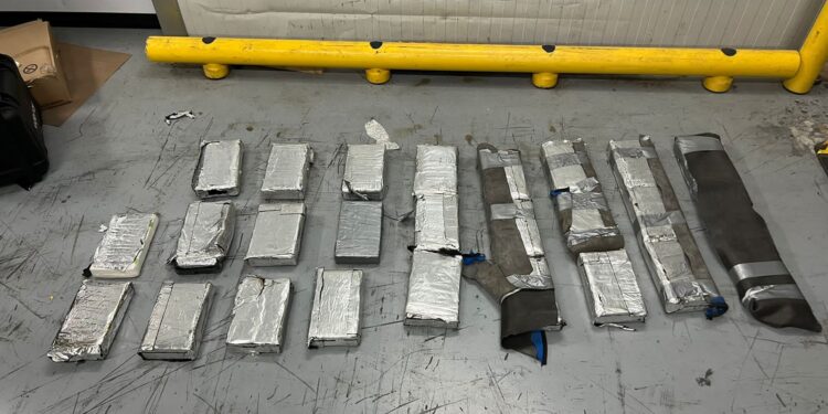 Ocupan 26 paquetes de cocaína escondidos en nevera de contenedor