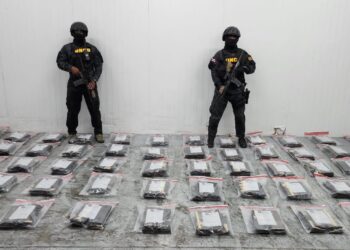 Confiscan 591 láminas presumiblemente cocaína escondidas en cajas de guineos