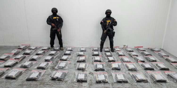 Confiscan 591 láminas presumiblemente cocaína escondidas en cajas de guineos