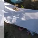 Hallan al menos seis cuerpos de recién nacidos en el cementerio Cristo Salvador