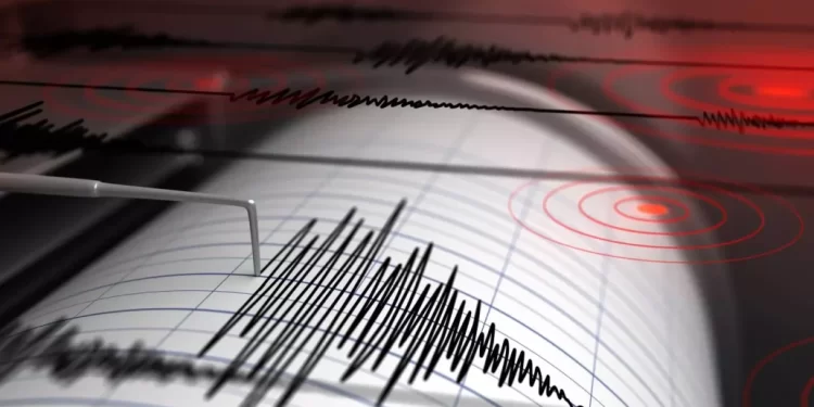 Cinco terremotos sacudieron este martes la India