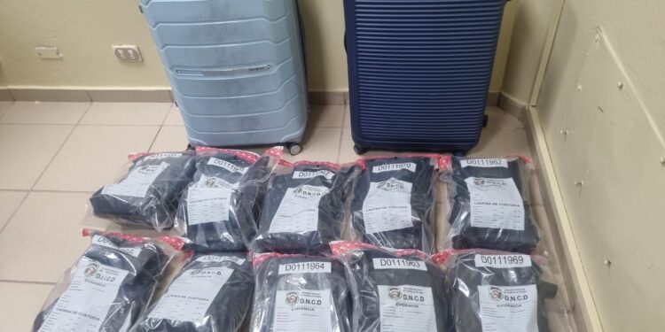 Incautan 21 paquetes de marihuana en aeropuerto del Cibao