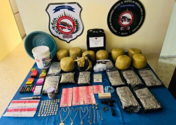 DNCD ocupa más de 28 mil gramos de drogas