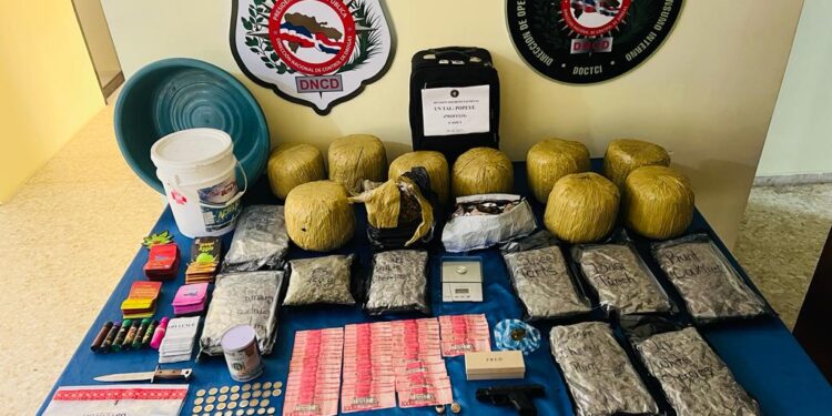 DNCD ocupa más de 28 mil gramos de drogas