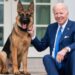 El perro de los Biden fue expulsado de la Casa Blanca por morder a agentes