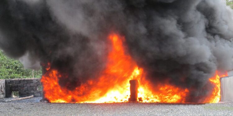 Procuraduría incinera más de 700 kilogramos de drogas