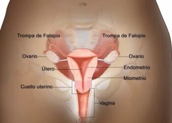 Nueva prueba para detectar el cáncer de útero reduce la mayoría de falsos positivos