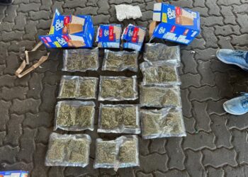 Ocupan 12 paquetes de marihuana en cajas de galletas