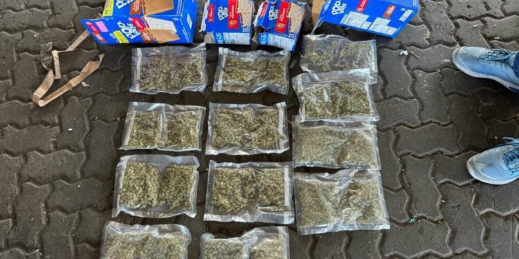 Ocupan 12 paquetes de marihuana en cajas de galletas