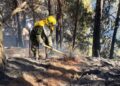 Temperaturas récord desatan incendios forestales en Colombia