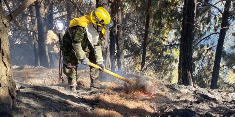 Temperaturas récord desatan incendios forestales en Colombia