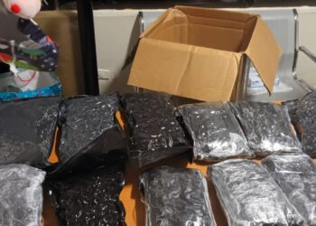 Decomisan 11 paquetes de marihuana escondidos en frisas de cama en el AILA