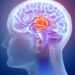 Cómo ciertos alimentos pueden fortalecer tu capacidad cerebral