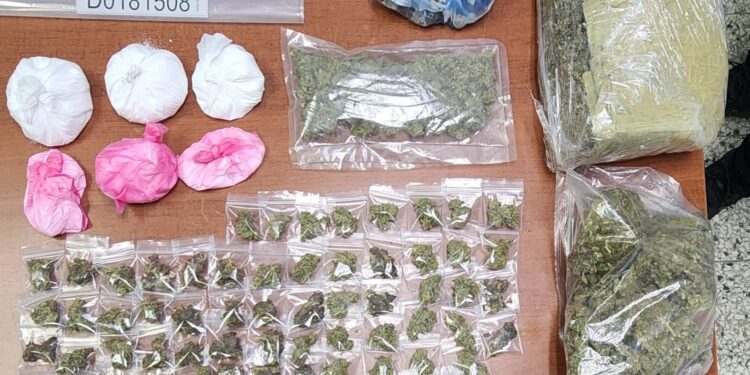 Autoridades sacan de las calles más de 146 mil gramos de drogas