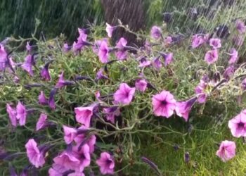 Vaguada provocará lluvias y se mantienen las alertas