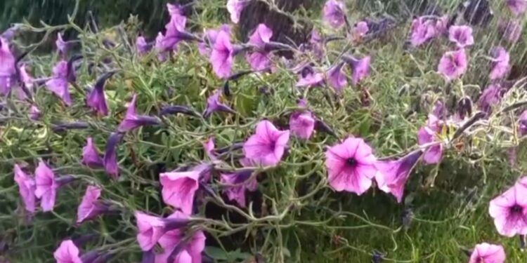 Vaguada provocará lluvias y se mantienen las alertas