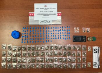 Incautan más de 397 mil gramos de distintas drogas