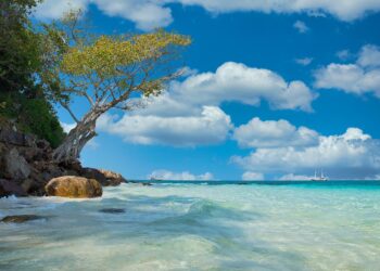 Pronostican ambiente despejado para este domingo