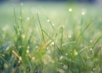 Onamet prevé algunos aguaceros para este viernes