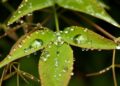 Vaguada provocará lluvias pasajeras este lunes