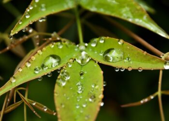 Vaguada provocará lluvias pasajeras este lunes