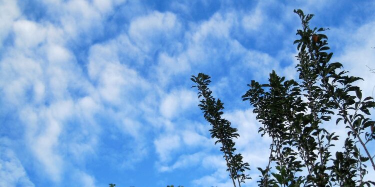 Onamet prevé nubes dispersas para este sábado