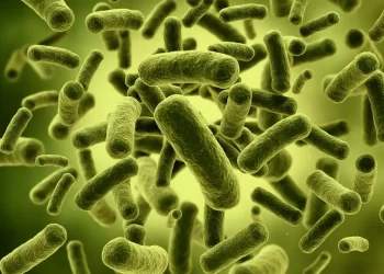 OMS alerta del agravamiento del brote mundial de cólera