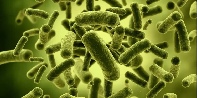 OMS alerta del agravamiento del brote mundial de cólera