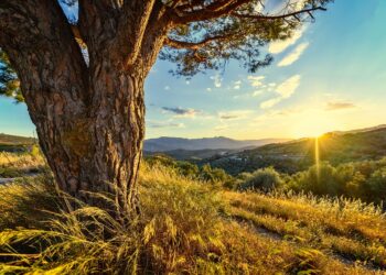 Meteorología pronostica cielo despejado