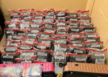 Incautan 118 paquetes de marihuana en Aeropuerto del Cibao